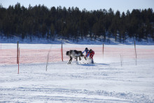 skiier pulled by running reindeer